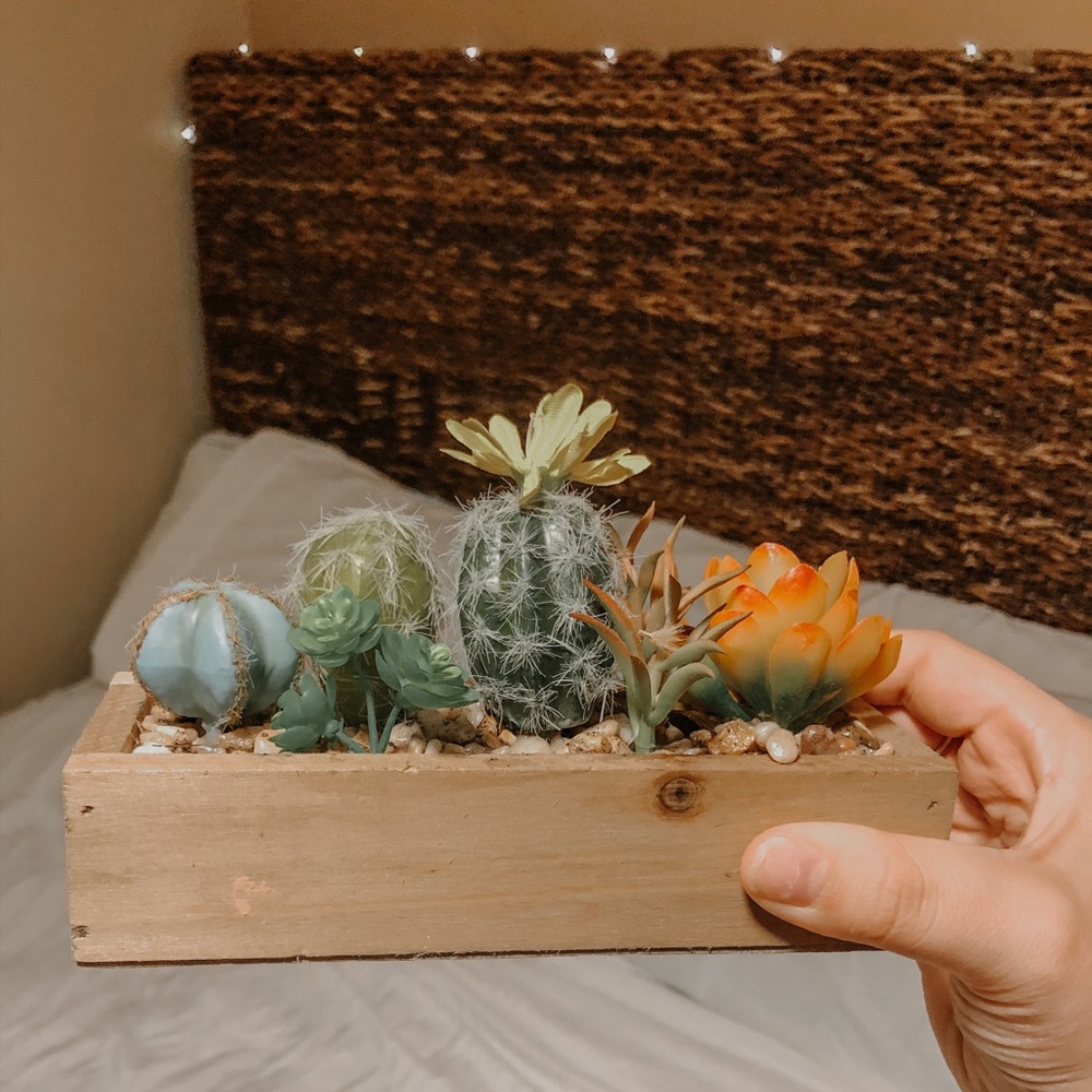 (Fake) Succulent decor